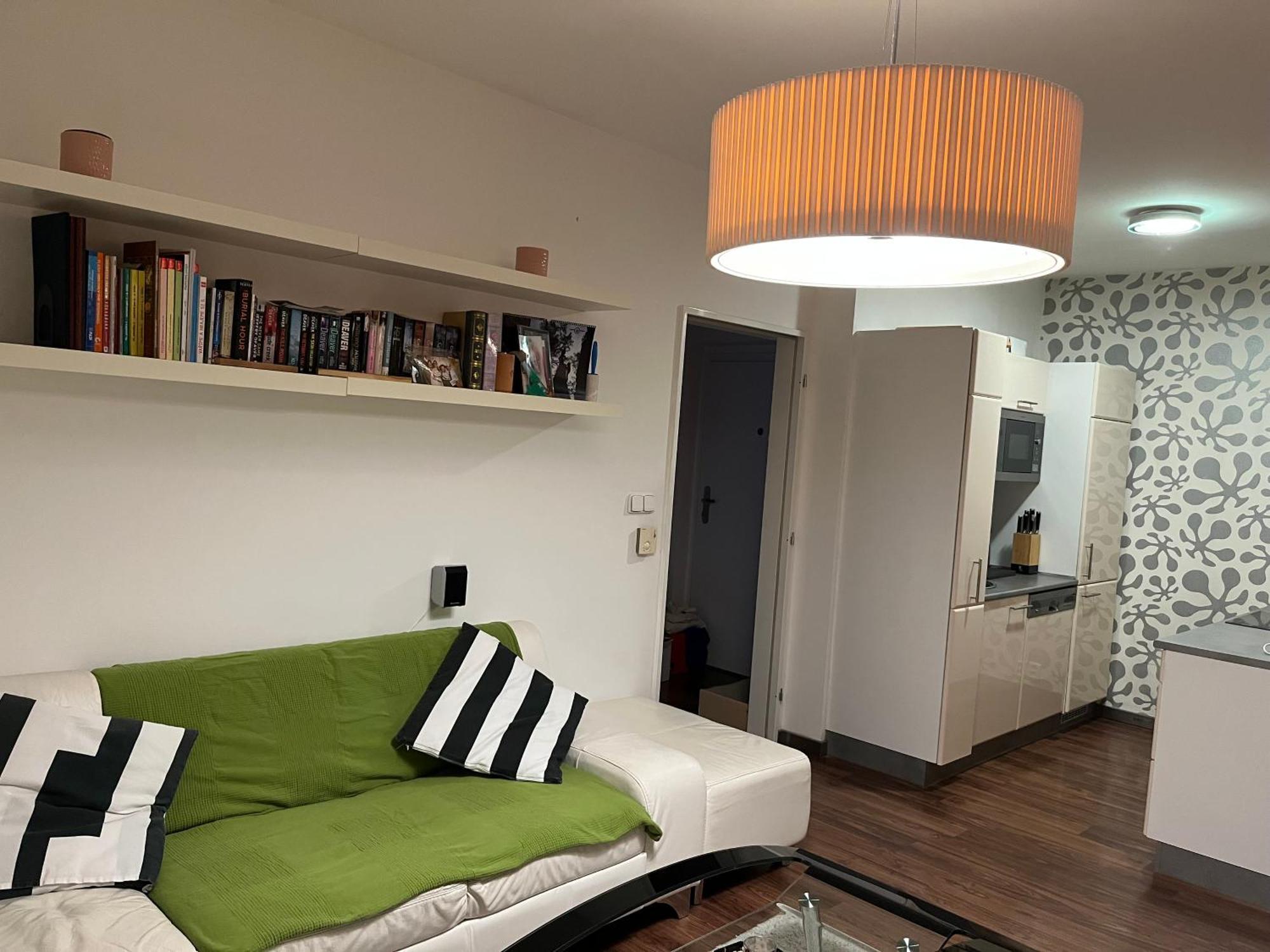 Rooftop Apartment With Pergola And Parking プラハ エクステリア 写真